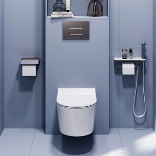 Подвесной унитаз Damixa Eclipse DX31C1738SC